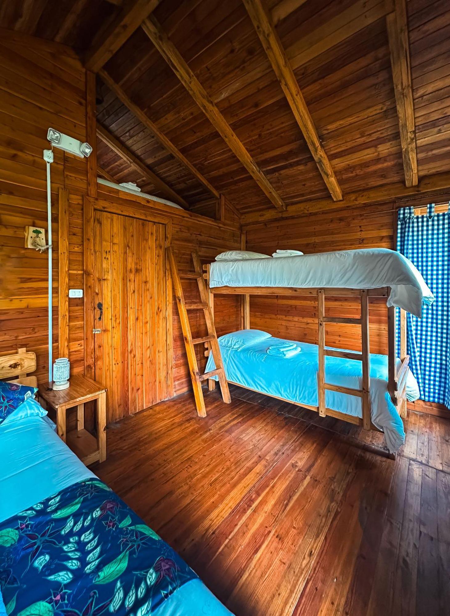 Hotel El Abrazo Del Arbol Mindo Exteriér fotografie