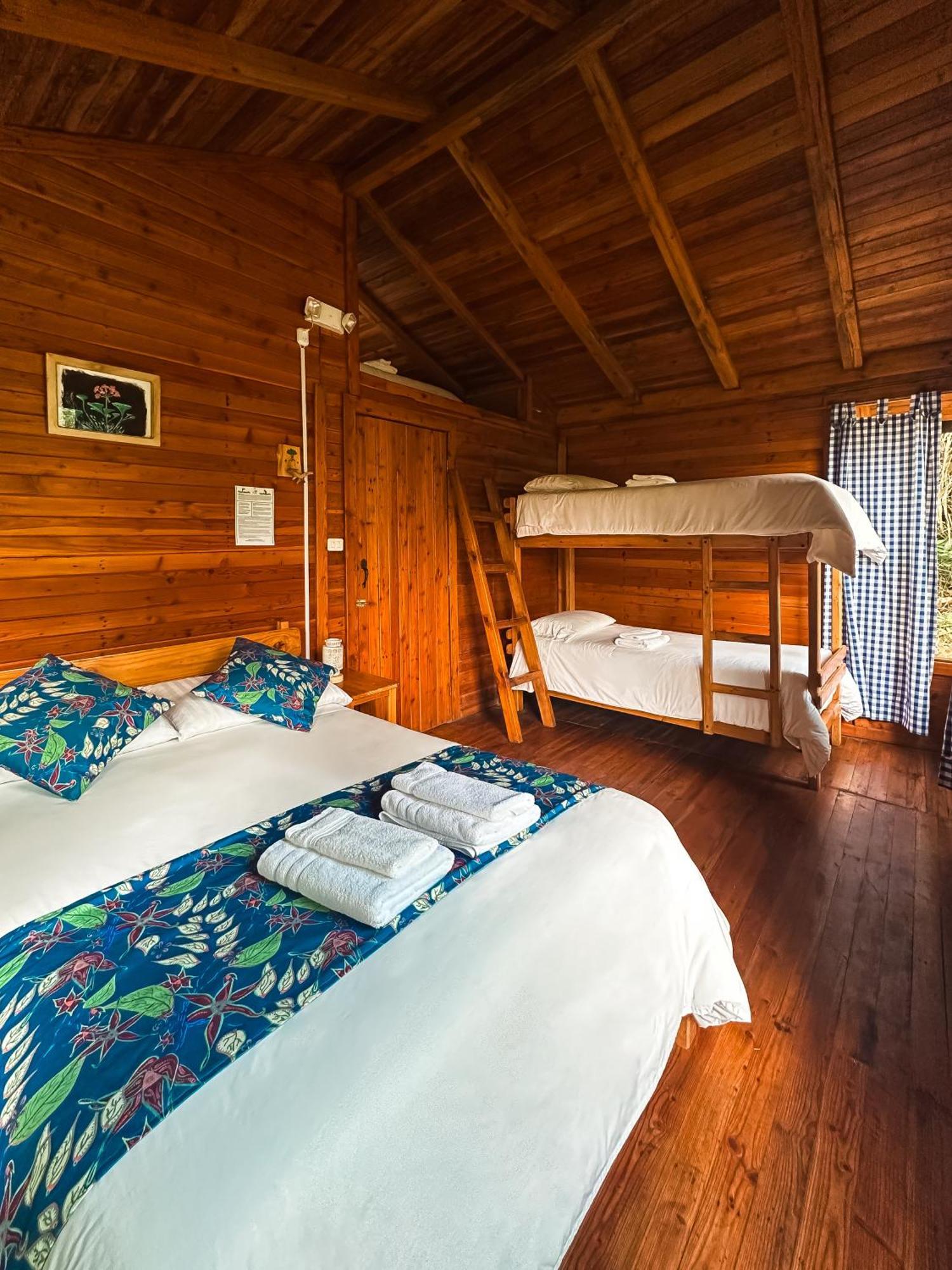 Hotel El Abrazo Del Arbol Mindo Exteriér fotografie