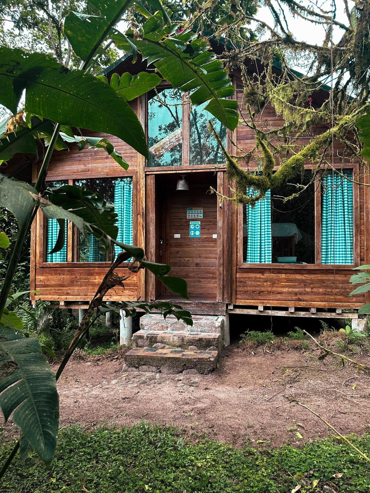 Hotel El Abrazo Del Arbol Mindo Exteriér fotografie
