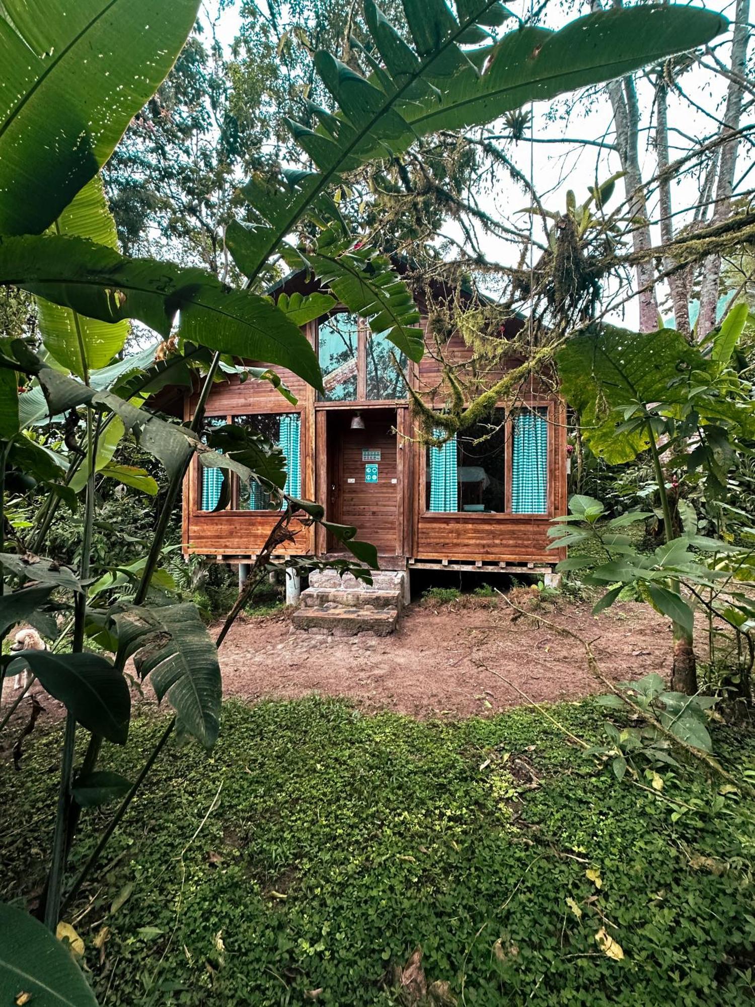 Hotel El Abrazo Del Arbol Mindo Exteriér fotografie